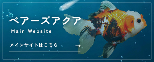 ベアーズアクア メインサイトはこちら